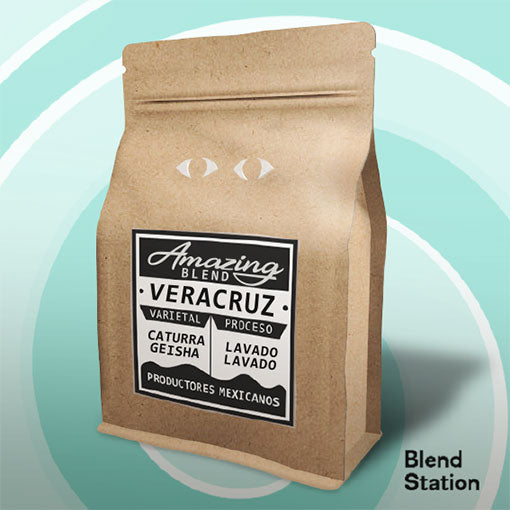 Café Amazing Blend Veracruz / Caturra Geisha Lavado · Blend Station ZD205