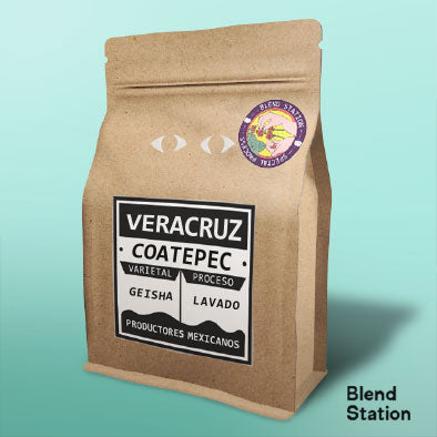 Café Veracruz Coatepec / Geisha Lavado SPECIAL KRAFT · Blend Station ZD208