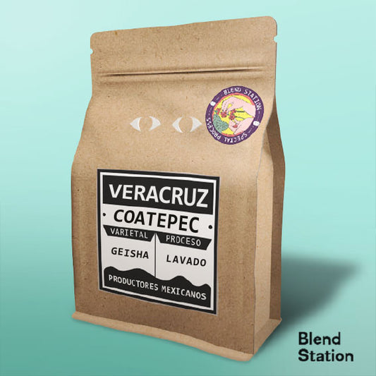 Café Veracruz Coatepec / Geisha Lavado SPECIAL KRAFT · Blend Station ZD208
