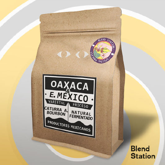 Café Oaxaca & Amatepec / Caturra Amarillo & Obata SPECIAL KRAFT · Blend Station ZD236