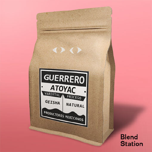 Café Guerrero Atoyac / Geisha Natural · Blend Station ZD56