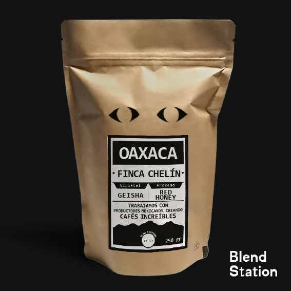 Café Finca Chelín / Geisha Red Honey · Blend Station ZD119