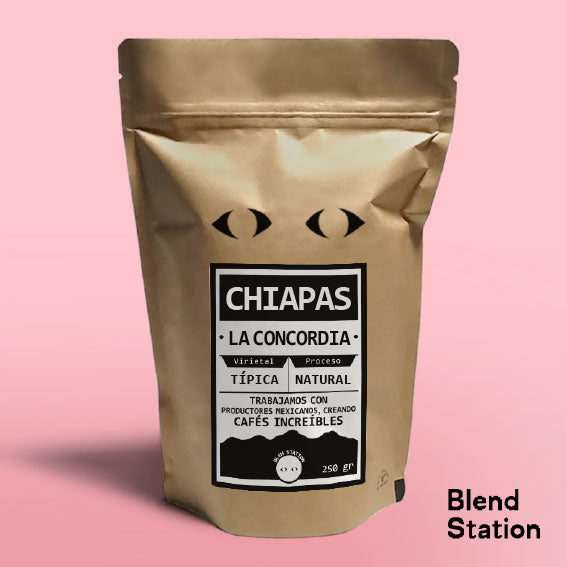 Café Chiapas La Concordia / Natural Típica · Blend Station ZD23