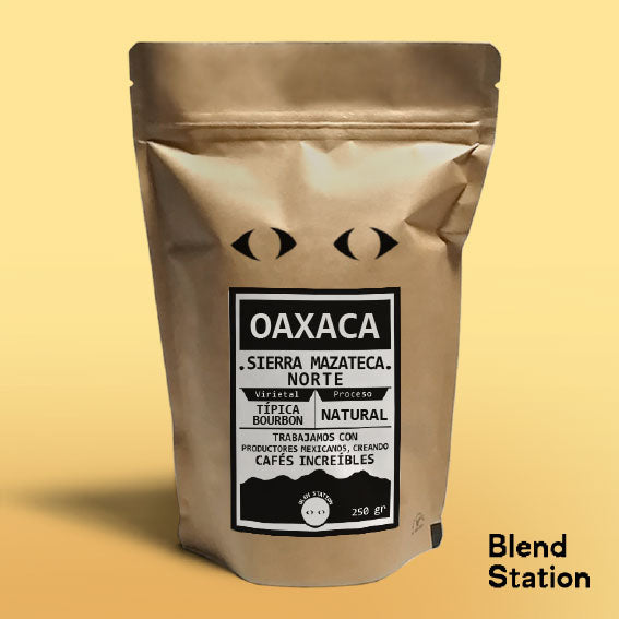 Café Oaxaca Sierra Mazateca Norte / Natural Típica & Bourbon SPECIAL KRAFT · Blend Station ZD24