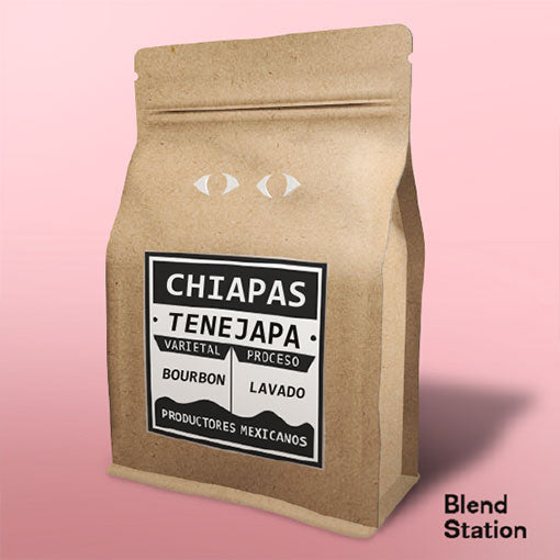 Café Chiapas Tenejapa / Bourbon Lavado · Blend Station ZD11