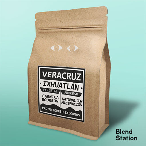 Café Veracruz Ixhuatlán / Garnica Bourbon Natural con Maceración SPECIAL KRAFT · Blend Station ZD149