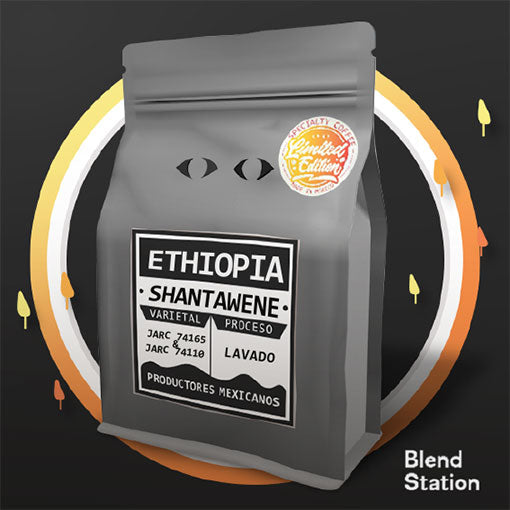 Café Etiopía Shantawene / Lavado Jarc 74165 & Jarc 74110 · Blend Station ZD176