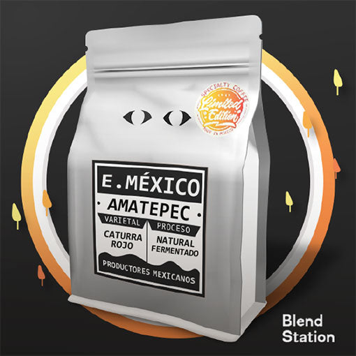 Café Amatepec / Caturra Rojo Natural Fermentado · Blend Station ZD207
