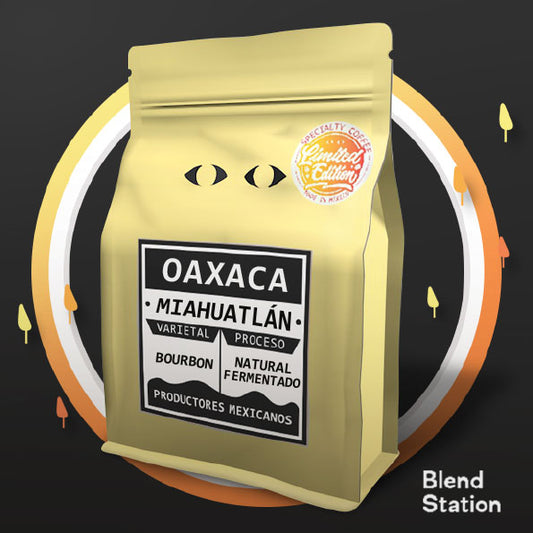 Café Oaxaca Miahuatlán / Bourbon Natural Fermentado PREMIUM COLORS · Blend Station ZD21