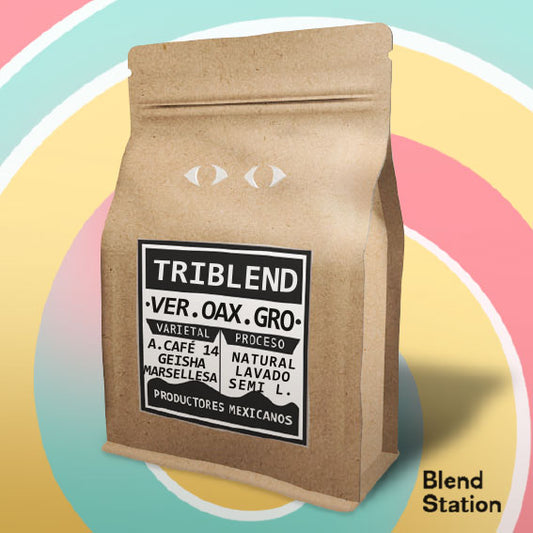 Café TRIBLEND Veracruz Guerrero Oaxaca / Ana Café 14 Natural, Geisha Lavado & Marsellesa Semi Lavado · Blend Station ZD241
