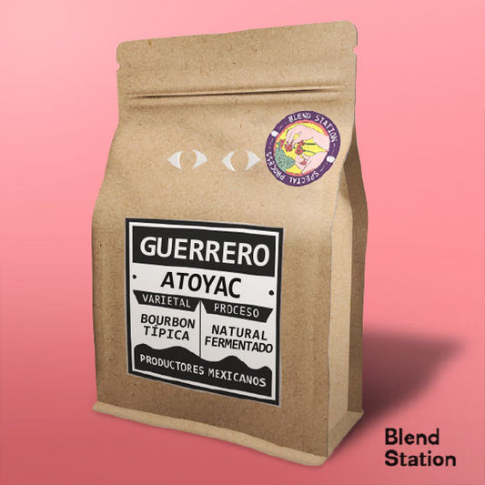 Café Guerrero Atoyac / Bourbon Típica Natural Fermentado SPECIAL KRAFT · Blend Station ZD242