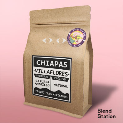 Café Chiapas Villaflores / Caturra Amarillo Natural SPECIAL KRAFT · Blend Station ZD247
