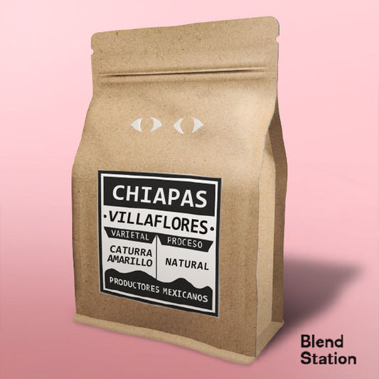 Café Chiapas Villaflores / Caturra Amarllo Natural · Blend Station ZD91