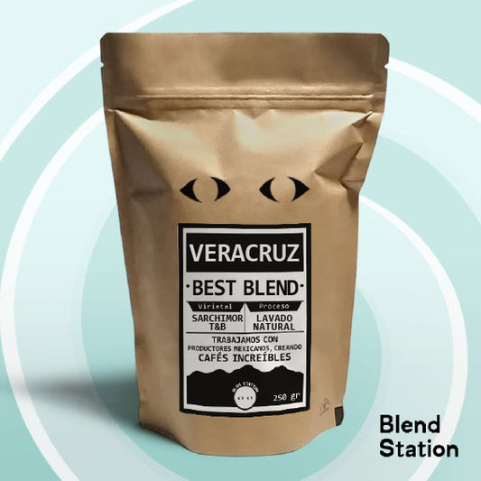 Café Veracruz Best Blend / Sarchimor Típica Bourbon Natural Lavado · Blend Station ZD156