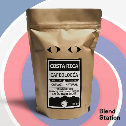 Café Costa Rica / Catuaí Natural PREMIUM · Blend Station ZD159