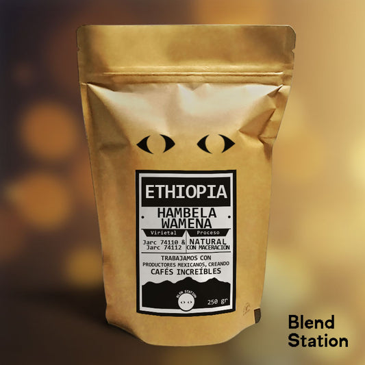 Café Etiopía Hambela Wamena / Natural con Maceración Jarc 74112 & Jarc 74112 · Blend Station ZD177