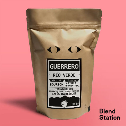 Café Guerrero Río Verde / Bourbon Natural Fermentado · Blend Station ZD99
