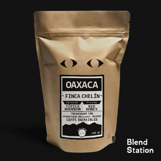 Café Finca Chelín / Típica Bourbon Red Honey · Blend Station ZD130